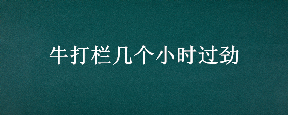 牛打栏几个小时过劲（牛打栏几个小时过劲啊）