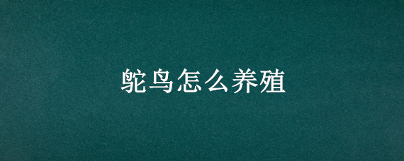 鸵鸟怎么养殖 鸵鸟怎么养殖吃什么适应什么气候