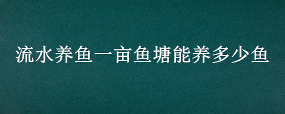 流水养鱼一亩鱼塘能养多少鱼 流水养鱼一亩鱼塘能养多少鱼啊