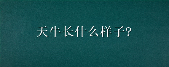 天牛长什么样子?（天牛长什么样子有毒）