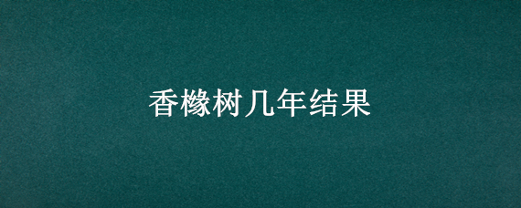 香橼树几年结果（香橼树苗几月份发芽）