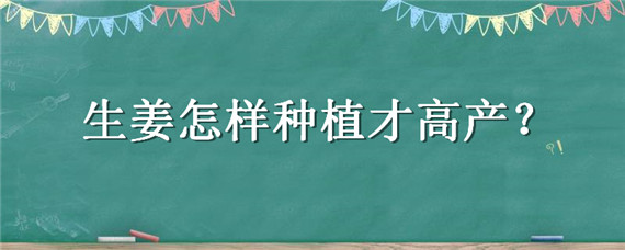 生姜怎样种植才高产 生姜怎么种植才能高产