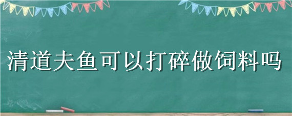 清道夫鱼可以打碎做饲料吗 清道夫鱼可以打碎做饲料吗视频