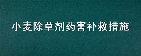 小麦除草剂药害补救措施 小麦除草剂药害补救措施有哪些