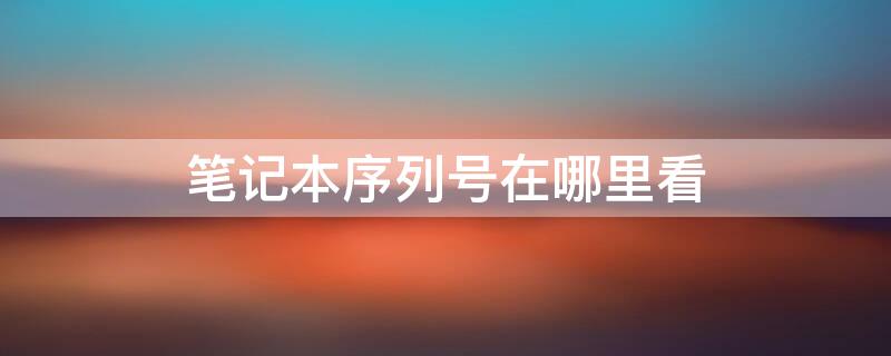 笔记本序列号在哪里看（戴尔笔记本序列号在哪里看）