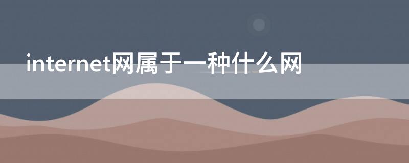 internet网属于一种什么网（internet属于( ）