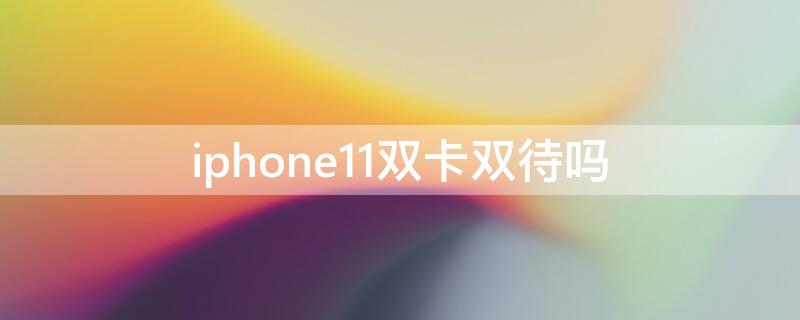 iPhone11双卡双待吗（iphone15pro双卡双待吗）