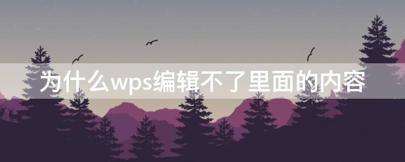 为什么wps编辑不了里面的内容 wps为啥编辑不了