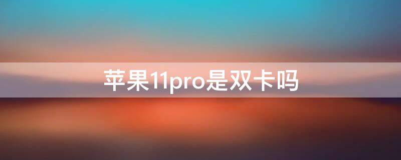 iPhone11pro是双卡吗 苹果11pro是双卡的嘛