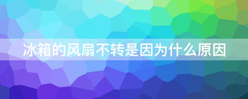 冰箱的风扇不转是因为什么原因（冰箱的风扇不转是因为什么原因呢）