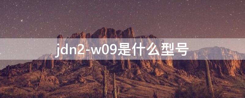 jdn2-w09是什么型号 jdn2-w09是什么型号几寸