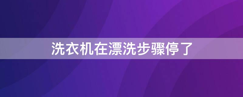 洗衣机在漂洗步骤停了（洗衣机在漂洗步骤停了所有衣服都泡在水里了）