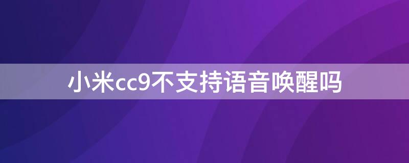 小米cc9不支持语音唤醒吗（小米cc9不支持语音唤醒吗怎么设置）