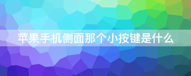 iPhone手机侧面那个小按键是什么 iphone手机侧面那个小按键是什么意思