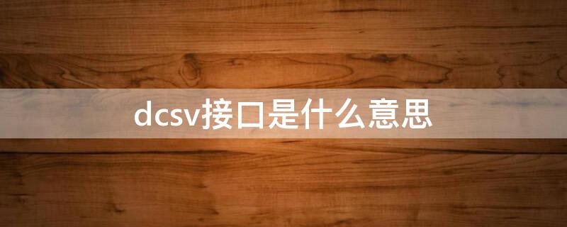 dcsv接口是什么意思 dcsv接口是充电接口吗