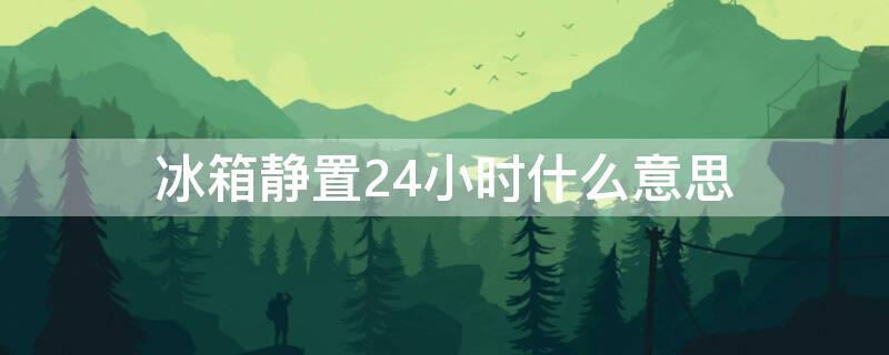 冰箱静置24小时什么意思（冰箱 静置24小时）