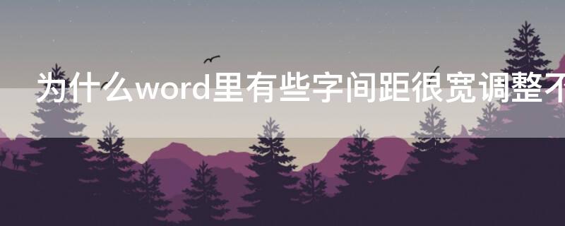 为什么word里有些字间距很宽调整不了（为什么word中有些字体间距调不了）