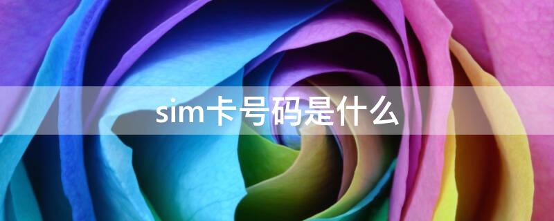 sim卡号码是什么（sim卡号怎么查询）