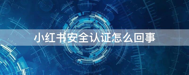 小红书安全认证怎么回事 小红书提示安全认证