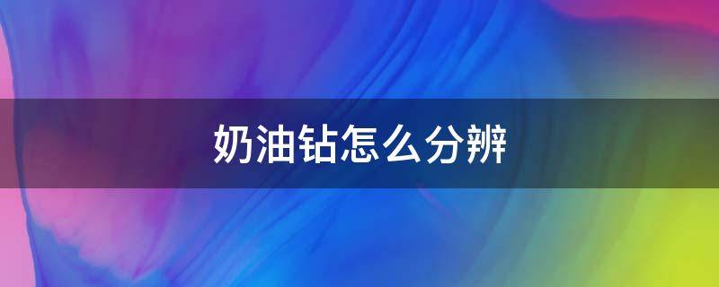 奶油钻怎么分辨 奶油钻价格便宜多少