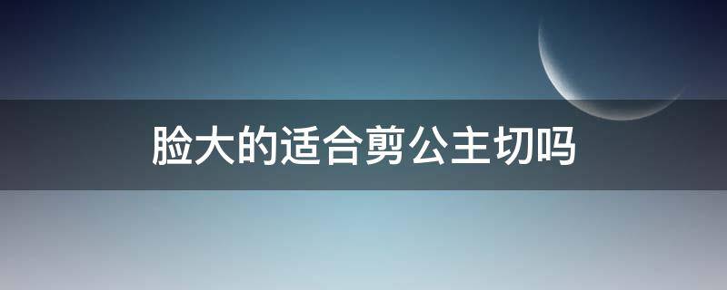 脸大的适合剪公主切吗 脸大可以剪公主切吗