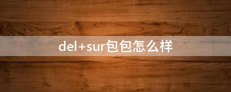 del sur包包怎么样