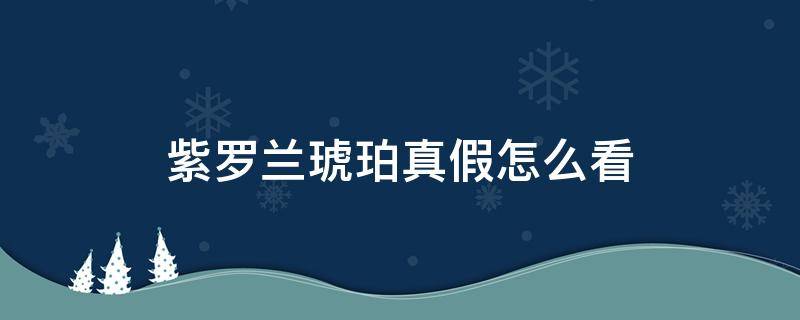 紫罗兰琥珀真假怎么看 紫罗兰 琥珀