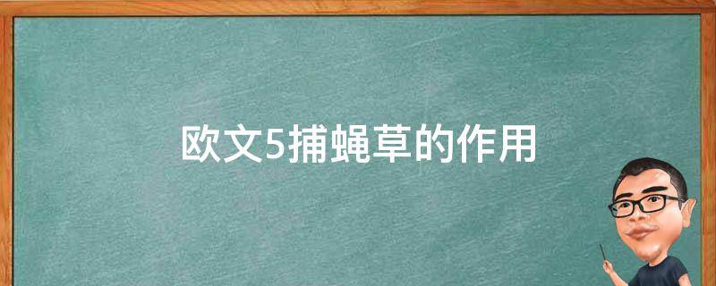 欧文5捕蝇草的作用 欧文五捕蝇草怎么放松