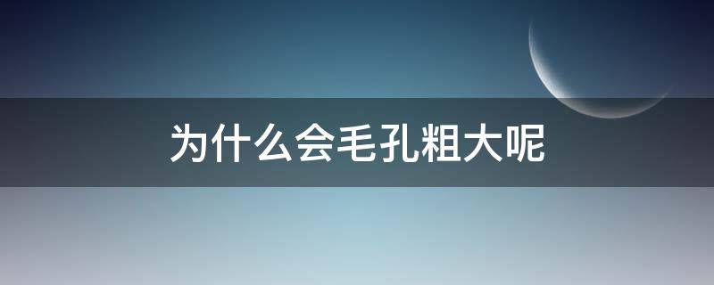 为什么会毛孔粗大呢（为什么毛孔粗大呢怎么改善）