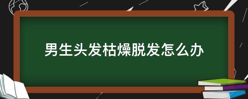 男生头发枯燥脱发怎么办（男生头发干枯毛躁掉发怎么办）