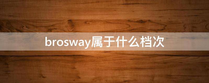 brosway属于什么档次（brosway质量怎么样）