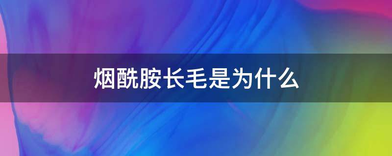 烟酰胺长毛是为什么（烟酰胺长毛后会消掉吗）