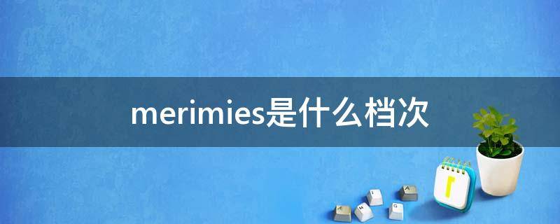 merimies是什么档次 mesamis属于什么档次