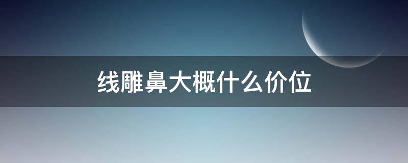 线雕鼻大概什么价位（线雕鼻大概需要多少钱）