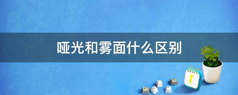 哑光和雾面什么区别 哑光和雾面有啥区别