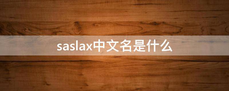 saslax中文名是什么（saslax是什么牌子）