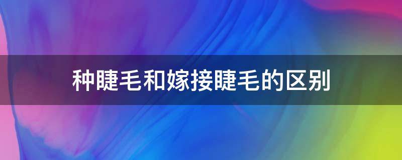 种睫毛和嫁接睫毛的区别 种睫毛与嫁接睫毛的区别