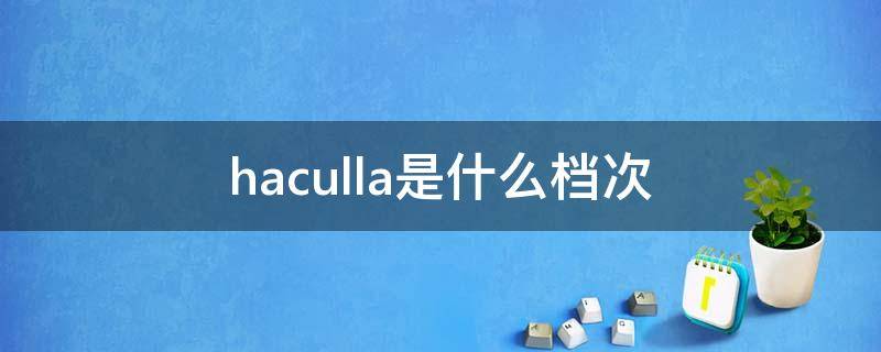 haculla是什么档次（haculla是什么牌子）