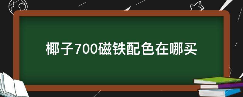 椰子700磁铁配色在哪买（椰子700磁铁配色在哪买的到）