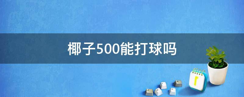 椰子500能打球吗 椰子500可以打球吗