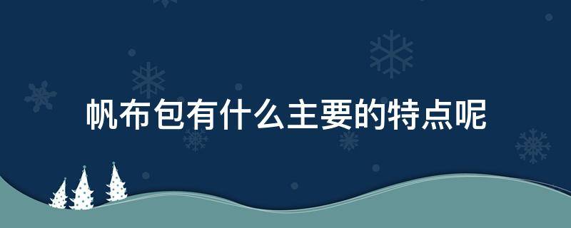 帆布包有什么主要的特点呢（帆布包有什么主要的特点呢(帆布包的优点）