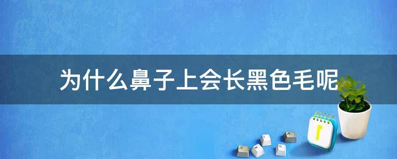 为什么鼻子上会长黑色毛呢（鼻子上为什么会长黑毛?）