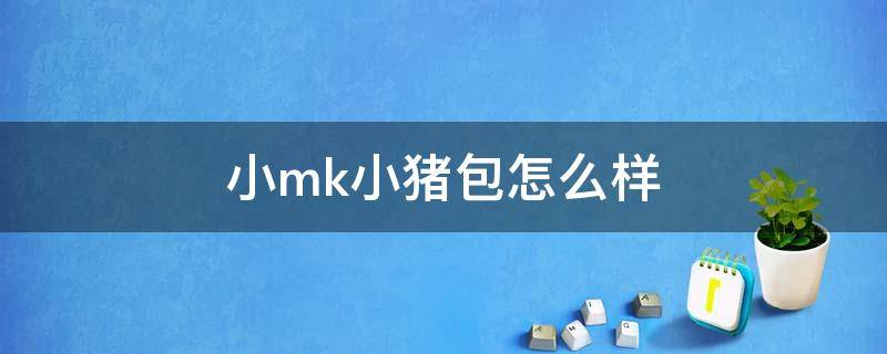 小mk小猪包怎么样（mk小猪包正品多少钱一个）