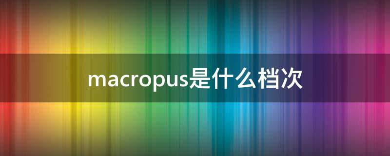 macropus是什么档次（macropus是什么牌子）