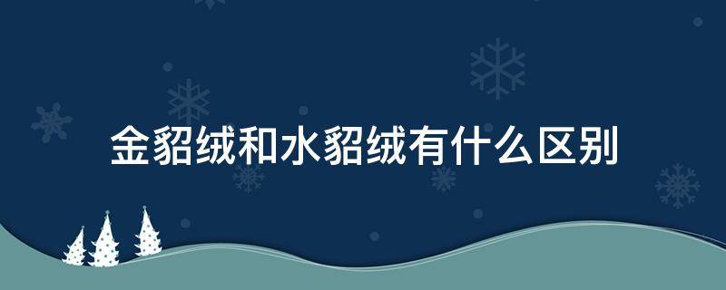 金貂绒和水貂绒有什么区别 金貂绒和水貂绒有什么区别呢