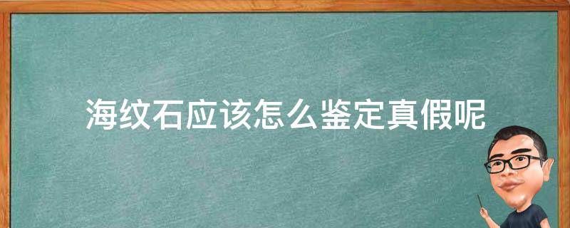 海纹石应该怎么鉴定真假呢 海纹石应该怎么鉴定真假呢视频