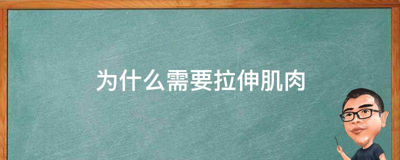 为什么需要拉伸肌肉 为什么需要拉伸肌肉呢