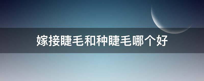 嫁接睫毛和种睫毛哪个好 嫁接睫毛跟种睫毛哪个好