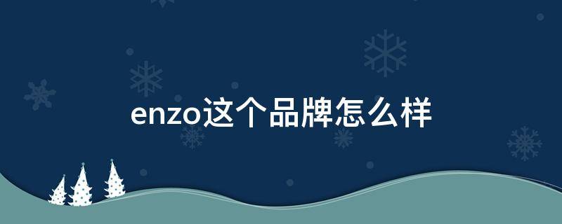 enzo这个品牌怎么样（enzo是哪个国家的牌子）