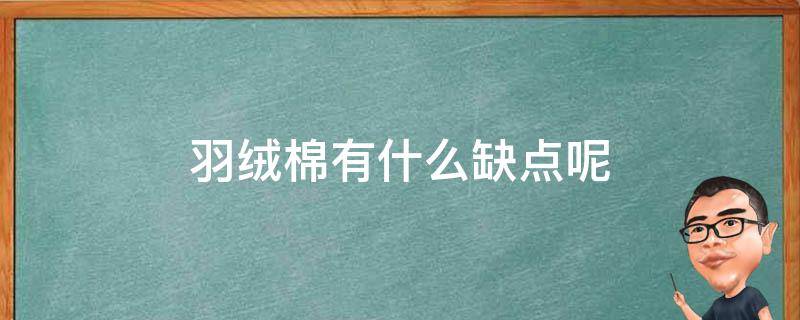 羽绒棉有什么缺点呢 羽绒棉有什么缺点呢图片